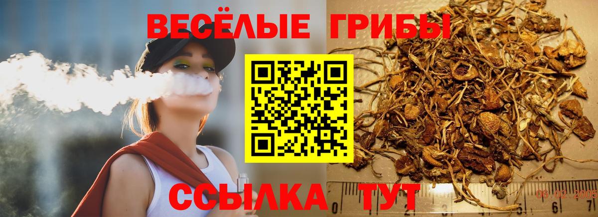 Галлюциногенные грибы GOLDEN TEACHER  Вход с VPN  Артём 